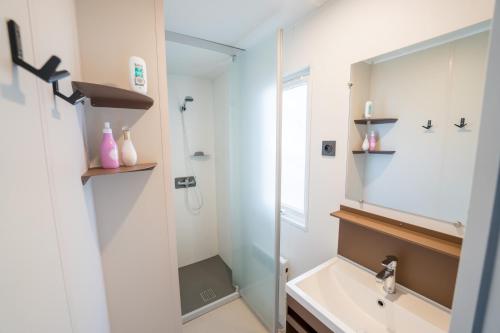 une salle de bain avec un lavabo et un miroir dans l'établissement Flower Camping La Sténiole, à Granges-sur-Vologne