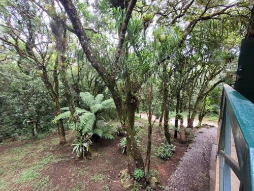 Taman di luar Chalé do Lopo