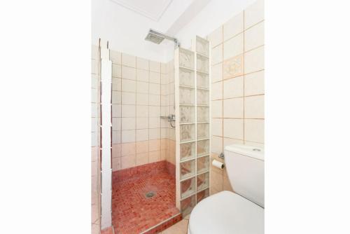 a bathroom with a toilet and a shower at Europe Villa Io in Fokáta