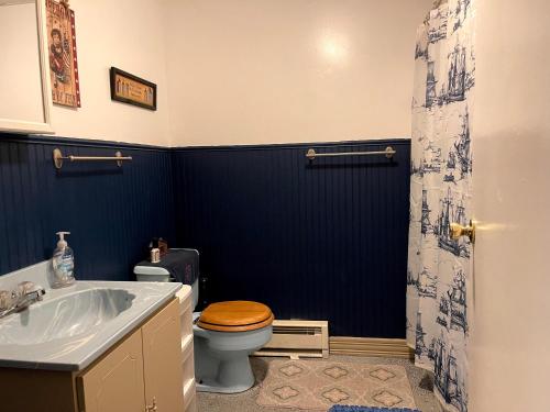 a bathroom with a toilet and a sink at Ryder's Lodge in Old Forge