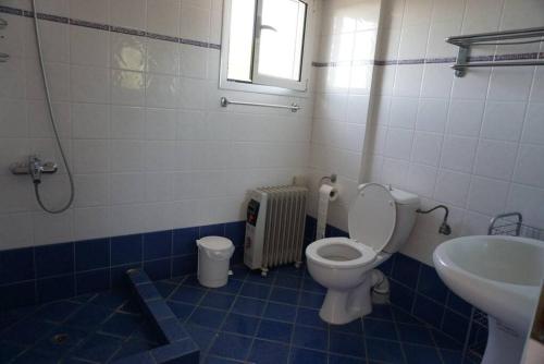 un bagno con un water e un lavandino di Haus mit Pool im Olivenhain a Koroni