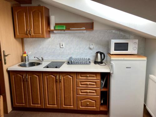 a small kitchen with a sink and a microwave at Ubytování v podkroví in Roztoky u Jilemnice
