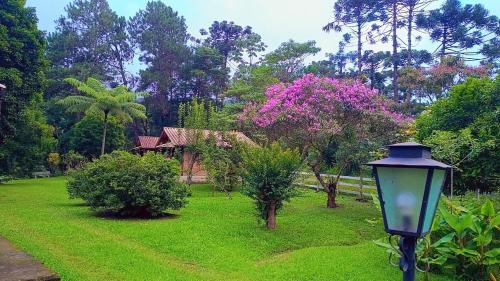 a street light in front of a yard with a house at Pousada Bosque do Visconde in Visconde De Maua