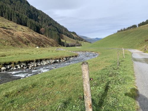 a river in a field next to a road at Feichtenhäusl app 1 in Westendorf