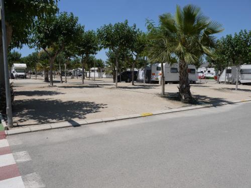 a street with a palm tree on the side of a road at Resort Camping Almafrá in Benidorm