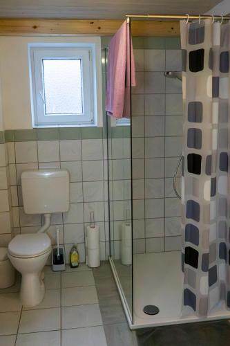 uma casa de banho com um WC e um chuveiro em Ferienwohnung in Wörrstadt em Wörrstadt
