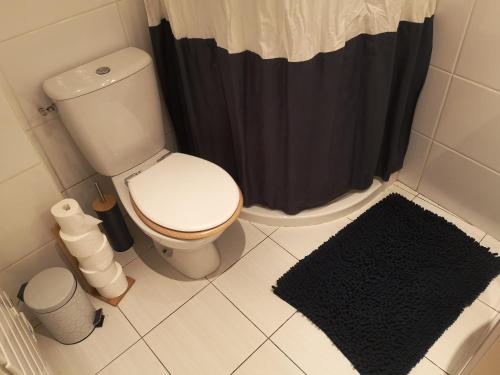 a bathroom with a toilet and a black shower curtain at Charme et confort en plein centre historique in Nantes