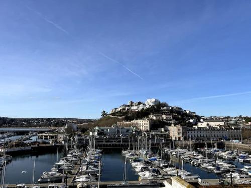 a bunch of boats are docked in a harbor at Luxury Detached House in Torquay Marina in Torquay