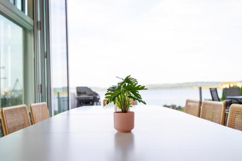 a potted plant sitting on a table in an office at Piermont Waterfront Villa with Hot Tub in Piermont