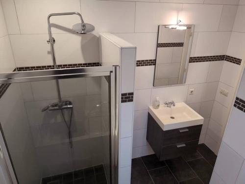 La salle de bains est pourvue d'une douche et d'un lavabo. dans l'établissement Opa's Erf, à Nieuwlande