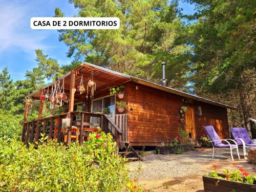 ein Blockhaus mit lila Stühlen davor in der Unterkunft Cabañitas del Bosque in Algarrobo