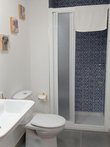 a white bathroom with a toilet and a shower at Apartamentos La Piedra de Nájera in Nájera
