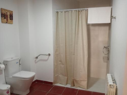 a bathroom with a toilet and a shower curtain at Apartamentos La Piedra de Nájera in Nájera