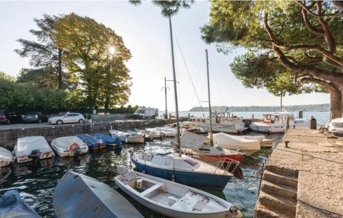 a bunch of boats are docked in a harbor at Spiaggia d'oro Apartment Lake View in Montecucco