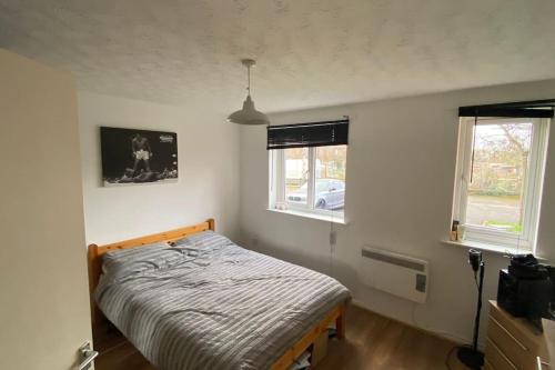 a bedroom with a bed and two windows at MODERN 1 Bedroom Ground Floor Flat in London