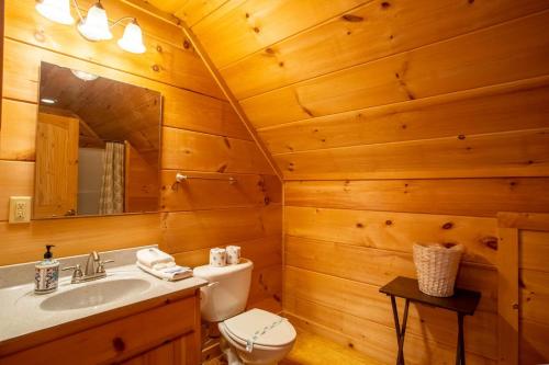 a bathroom with a toilet sink and a mirror at Little Elk Lodge in Elk Park