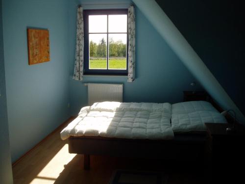 a bed in a blue room with a window at Ferien unterm Reet in Prerow