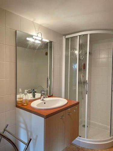 une salle de bain avec un lavabo et une douche dans l'établissement Cottages Normands (deux maisons), à Houlgate