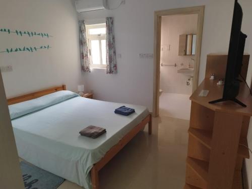 - une chambre avec un lit et une salle de bains pourvue d'un lavabo dans l'établissement Sunlight house, à Marsaskala