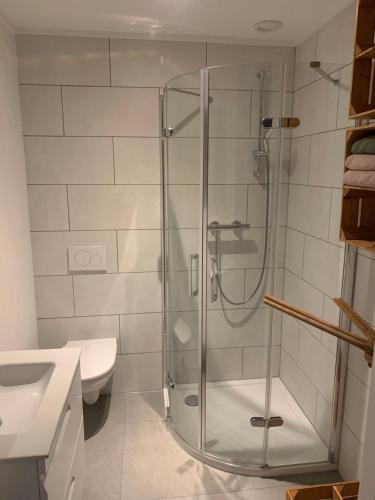 een badkamer met een douche, een toilet en een wastafel bij B&B de Brem in Berkel-Enschot