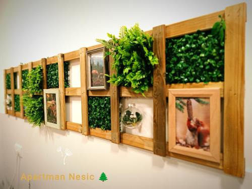 a row of wooden frames with plants on a wall at Apartman Nesic kop in Kopaonik