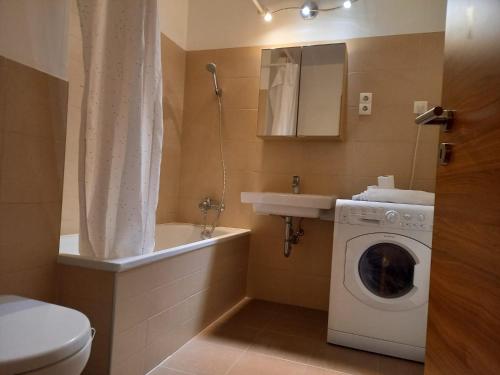La salle de bains est pourvue d'un lave-linge et d'un lavabo. dans l'établissement Joker, à Budapest