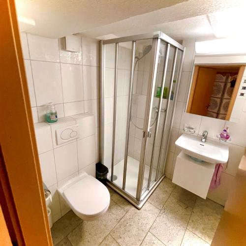 a bathroom with a shower and a toilet and a sink at Guest Apartment & Room Seeland in Suberg