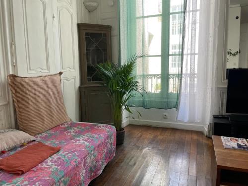 un salon avec un canapé et une plante dans l'établissement Loft de la plage Concurrence, à La Rochelle