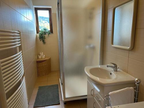 Koupelna v ubytování Apartmán Železná Ruda