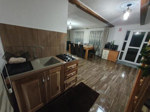 a kitchen with a sink and a counter top at Cabana Busuioc in Colibiţa