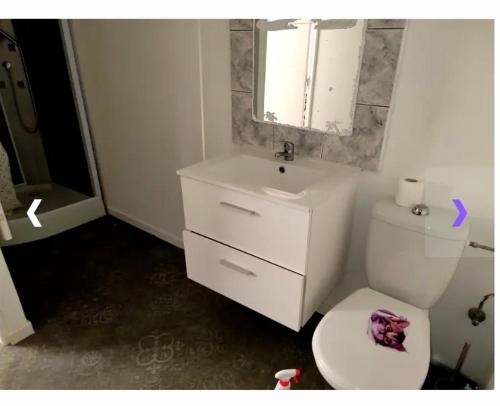 La salle de bains est pourvue de toilettes blanches et d'un lavabo. dans l'établissement Mila1, 