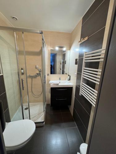 uma casa de banho com um chuveiro, um WC e um lavatório. em Hôtel Le Médiéval em Aigues-Mortes