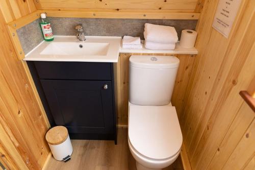 a small bathroom with a toilet and a sink at Thistle Pod at Ayrshire Rural Retreats Farm Stay Hottub Sleeps 2 in Galston