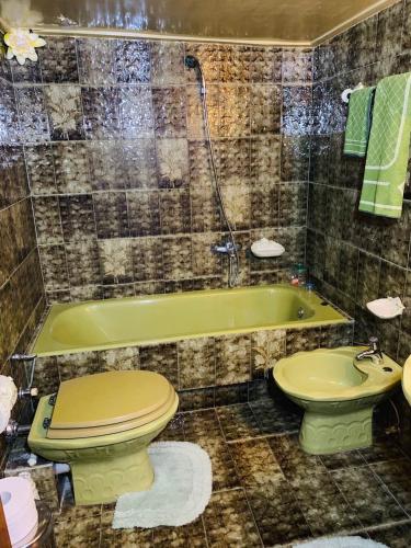 ein Badezimmer mit einem grünen WC und einer Badewanne in der Unterkunft House Mario’s airport 2 in Spáta