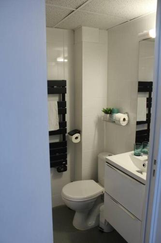 une salle de bain blanche avec des toilettes et un lavabo dans l'établissement Studio cosy au pied du château, à Saumur