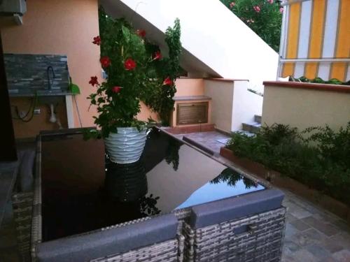 Φωτογραφία από το άλμπουμ του Appartamento con veranda e giardino a 75 m dal mare σε Castelsardo