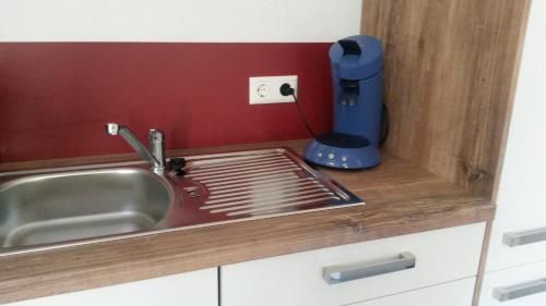 eine Küchenspüle mit einem Wäscheständer neben einer Spüle in der Unterkunft Ferienwohnung Wassergasse in Kapellen-Drusweiler