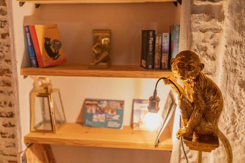 a statue on a shelf with a light on it at Riad Nila in Chefchaouene