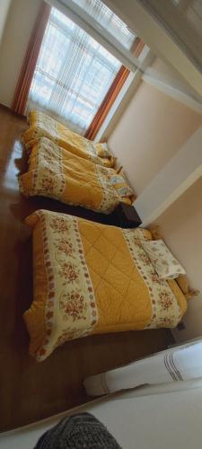 a room with three beds with pillows and a window at Sofia in Oruro