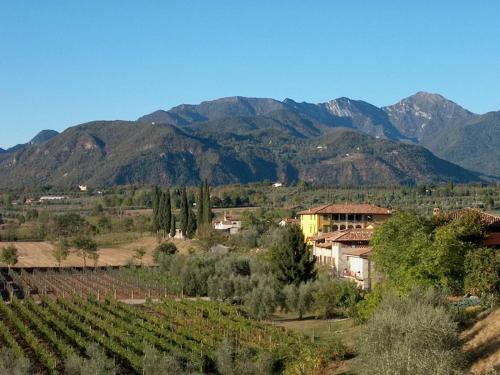 B&B Il Nido في Raffa: اطلالة على مزارع العنب مع الجبال في الخلفية