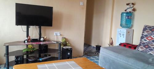 TV a/nebo společenská místnost v ubytování Lk home