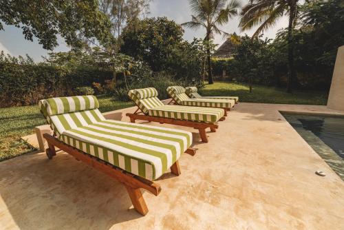 a row of benches sitting next to a pool at Bamboo House B&B in Malindi