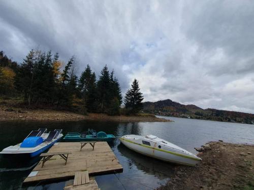 three boats are docked at a dock on a lake at Cabana Busuioc in Colibiţa