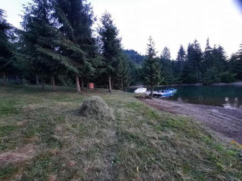 a large pile of grass next to a lake at Cabana Busuioc in Colibiţa