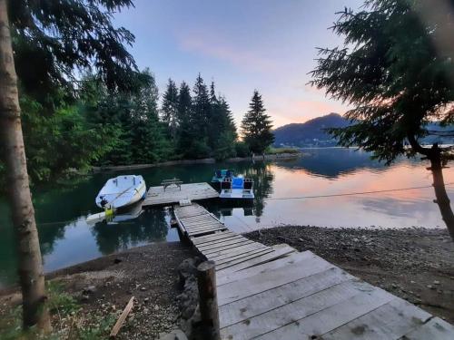 a dock with a boat on a lake at Cabana Busuioc in Colibiţa