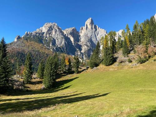 a green field with a mountain in the background at Chalet Pra Dell OSTIO Primiero San Martino di Castrozza in Fiera di Primiero