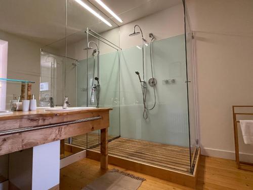 W łazience znajduje się szklana kabina prysznicowa i umywalka. w obiekcie Studio im Zentrum von Lochau, #1 w mieście Lochau