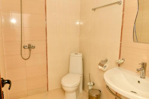 a bathroom with a toilet and a sink and a shower at Blyan Family Hotel in Chiflik