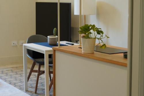 um quarto com uma secretária com um computador portátil e plantas em Palazzo Polini Apartments em Sora