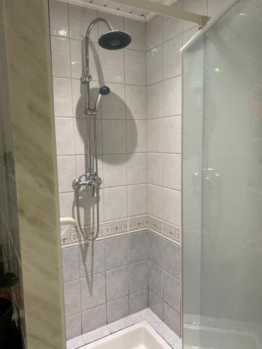 W łazience znajduje się prysznic ze szklanymi drzwiami. w obiekcie ROBERT Aline 